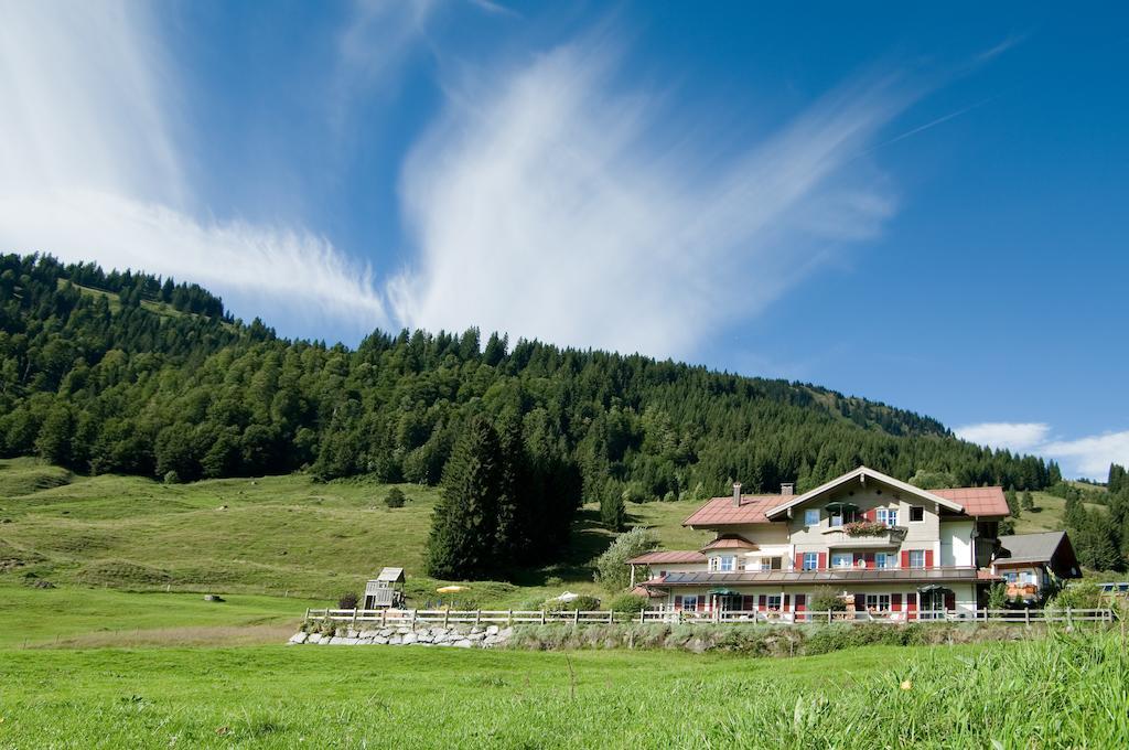 Alpenroesle Apartment Балдершванг Екстериор снимка